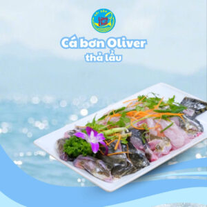 Cá bơn Oliver thả lẩu