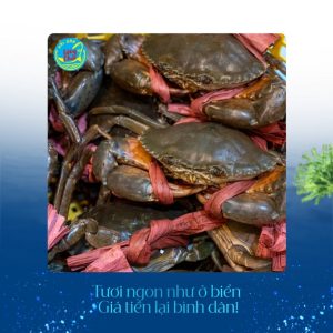 Cua thịt tại Hải sản Làng Chài