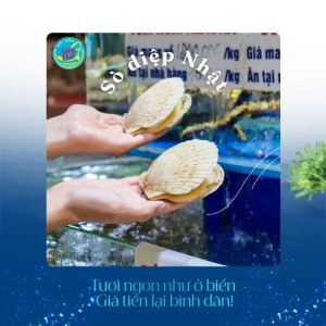 Sò điệp Nhật tại Hải sản Làng Chài
