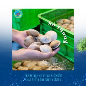Sò thưng tại Hải sản Làng Chài