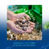 Sò huyết tại Hải sản Làng Chài