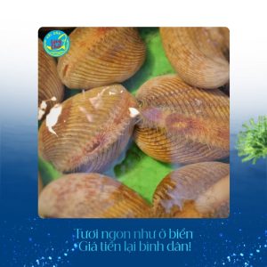 Sò dương tại Hải sản Làng Chài