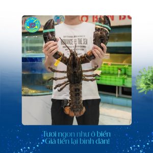 Tôm hùm Alaska tại Hải sản Làng Chài