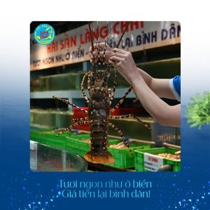 Tôm hùm bông tại Hải sản Làng Chài