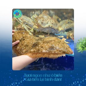 Cá Bơn Oliver tại Hải sản Làng Chài