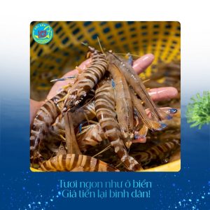 Tôm sú tại Hải sản Làng Chài