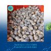 Ốc hương tại Hải sản Làng Chài