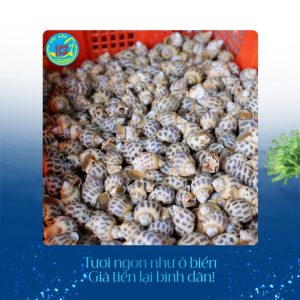 Ốc hương tại Hải sản Làng Chài
