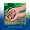 Ngoa hoa tại Hải sản Làng Chài