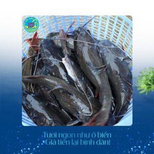 Cá Lăng tại Hải sản Làng Chài