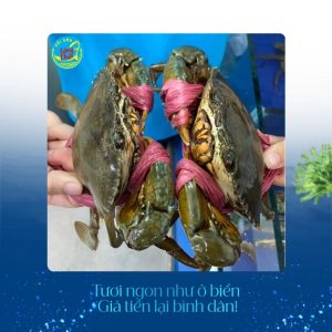 Cua gạch tại Hải sản Làng Chài